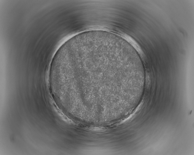 X0000110951052200907101303