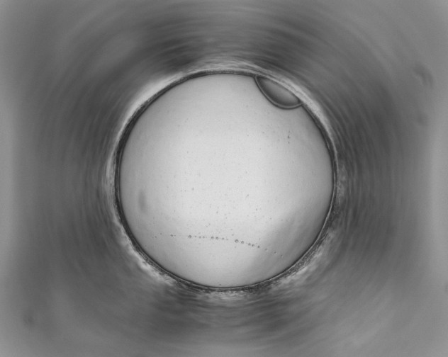 X0000110951053200907101303