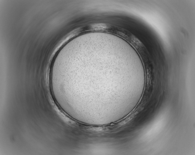 X0000110951054200907101303