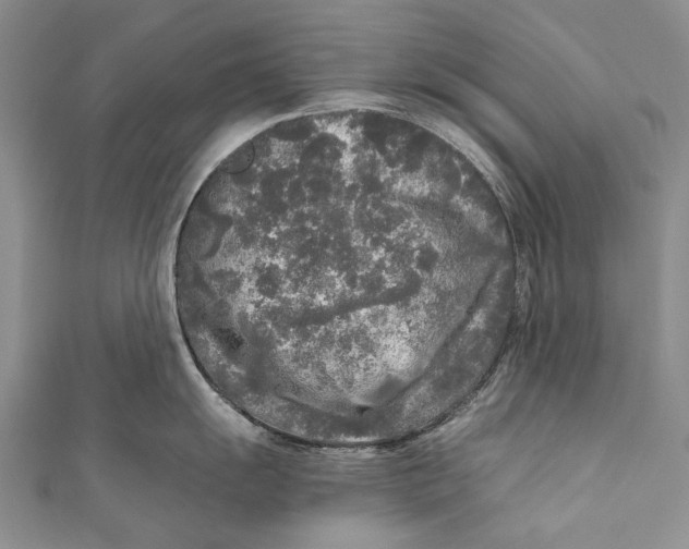 X0000110951055200907101303