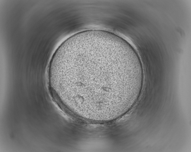 X0000110951056200907101303