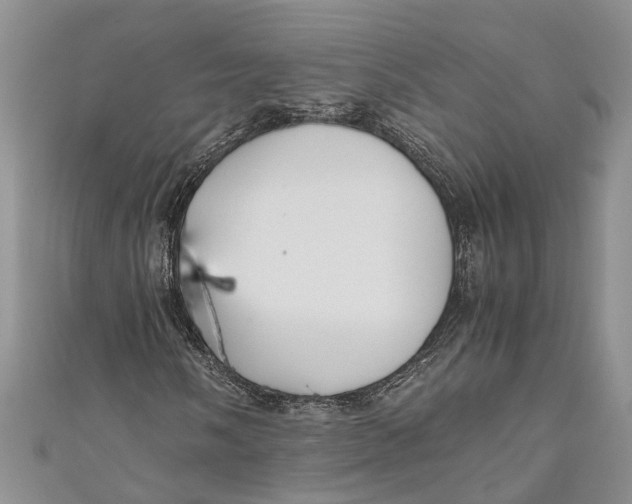 X0000110951058200907101303