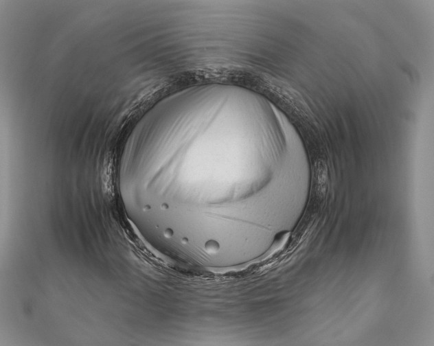 X0000110951060200907101303