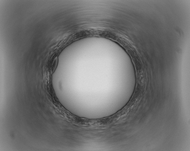 X0000110951061200907101303