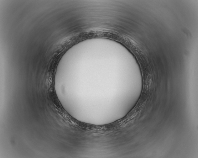 X0000110951062200907101303