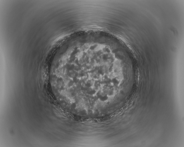 X0000110951063200907101303