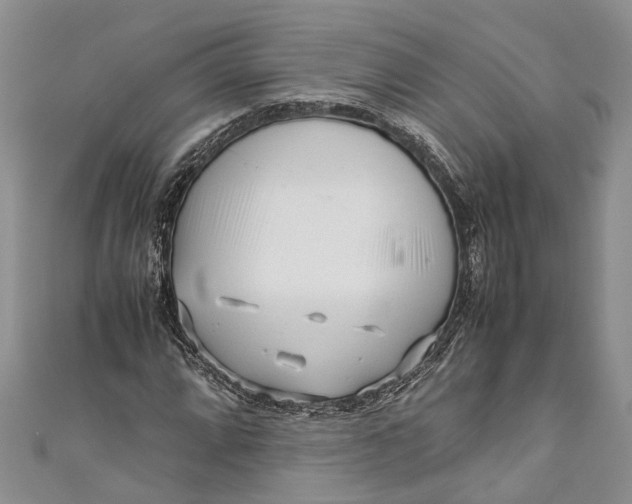 X0000110951064200907101303