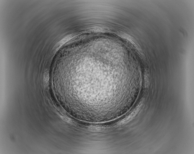 X0000110951065200907101303