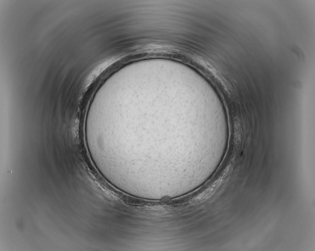 X0000110951066200907101303