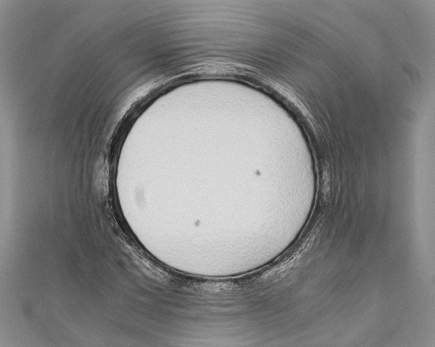 X0000110951067200907101303