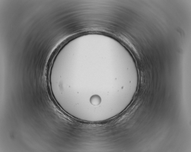 X0000110951068200907101303