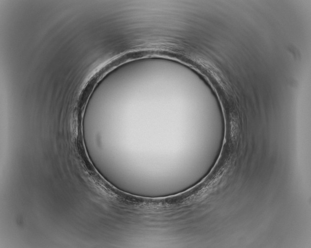 X0000110951069200907101303