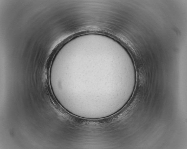 X0000110951070200907101302