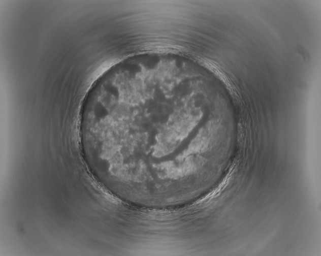 X0000110951071200907101302