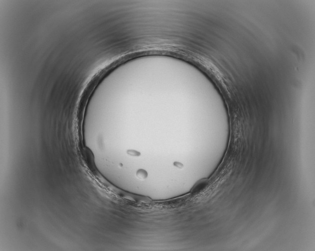 X0000110951072200907101302