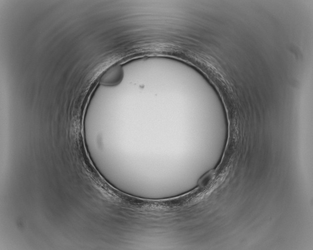 X0000110951073200907101302