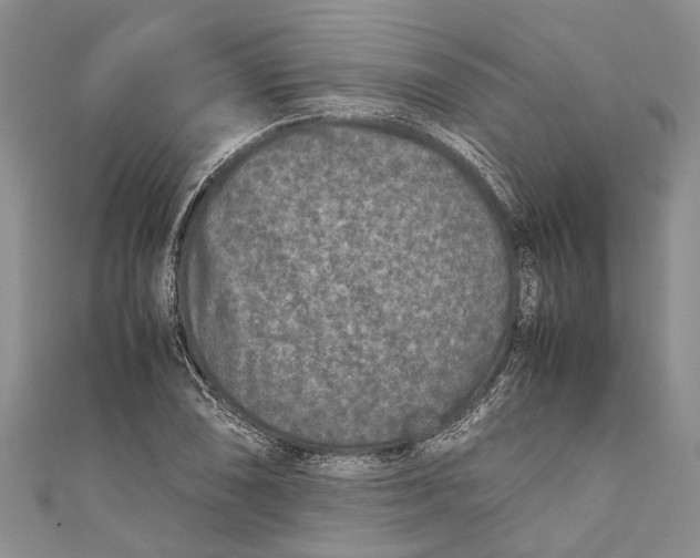 X0000110951074200907101302