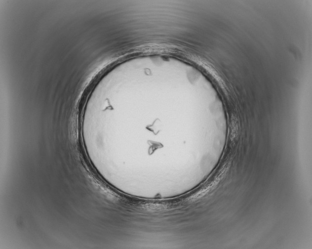 X0000110951075200907101302