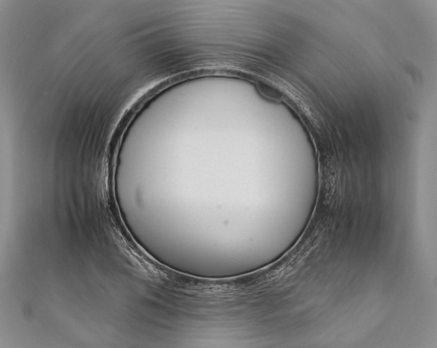 X0000110951076200907101302