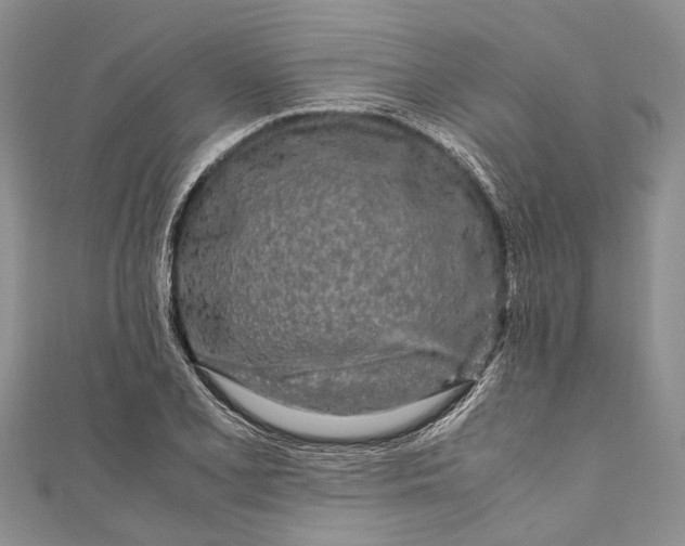 X0000110951077200907101302