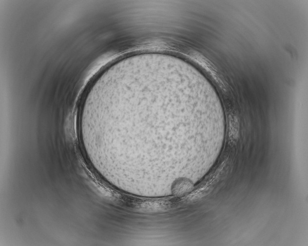 X0000110951078200907101302