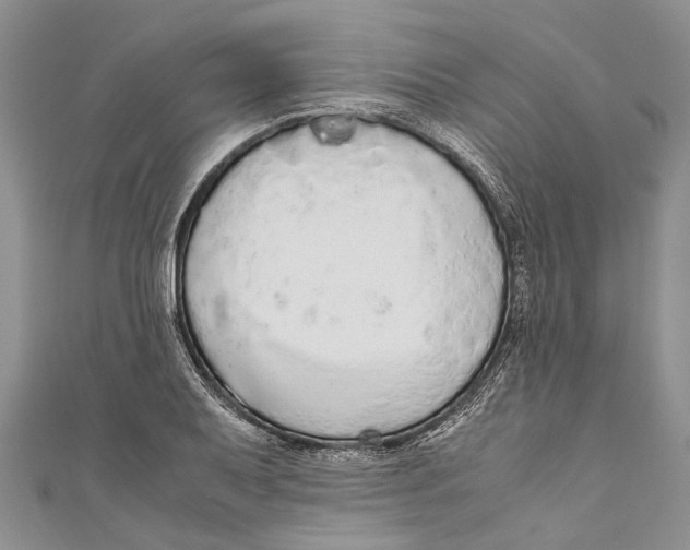 X0000110951079200907101302