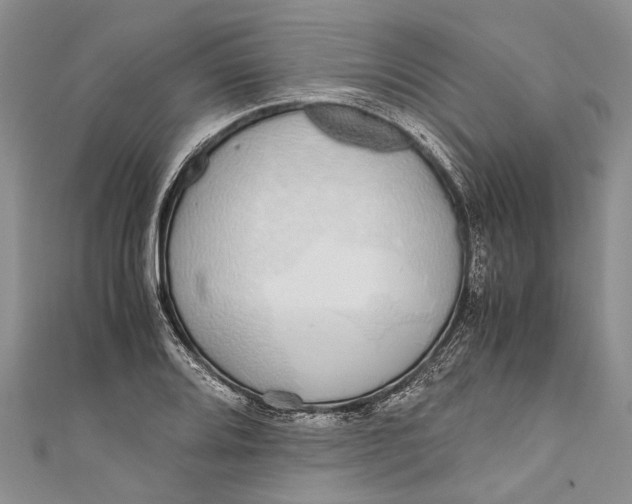 X0000110951080200907101302