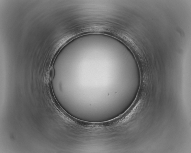 X0000110951081200907101302