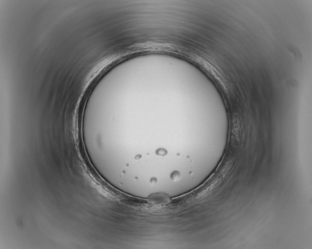 X0000110951082200907101302