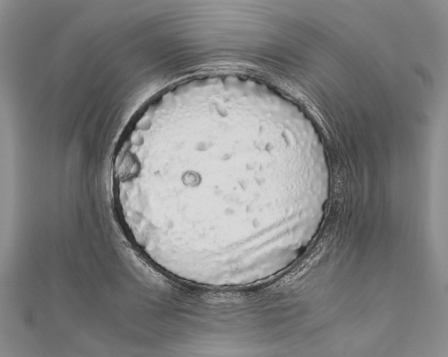 X0000110951083200907101302