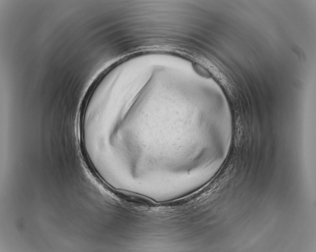 X0000110951084200907101302