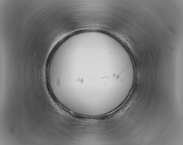 X0000110951085200907101302