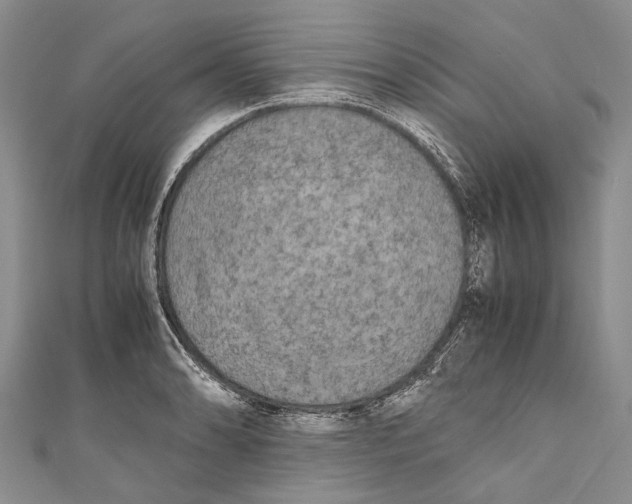 X0000110951086200907101302