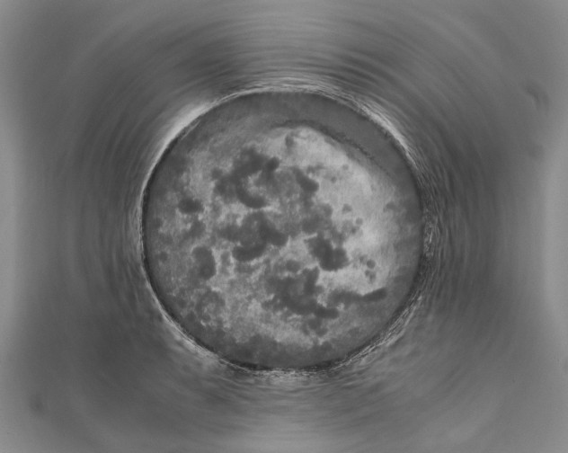 X0000110951087200907101302