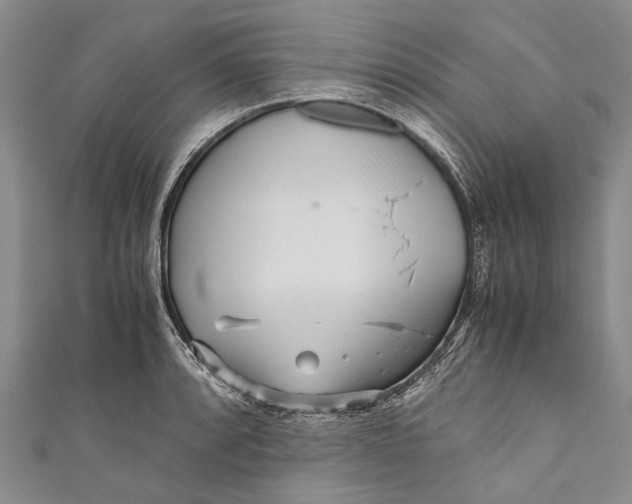 X0000110951088200907101302