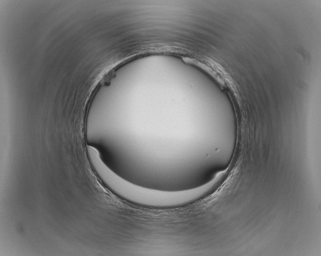 X0000110951089200907101302