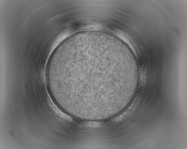 X0000110951090200907101302