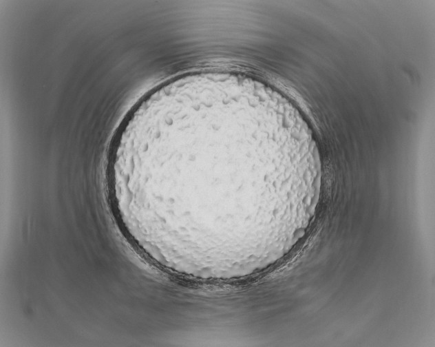 X0000110951091200907101302