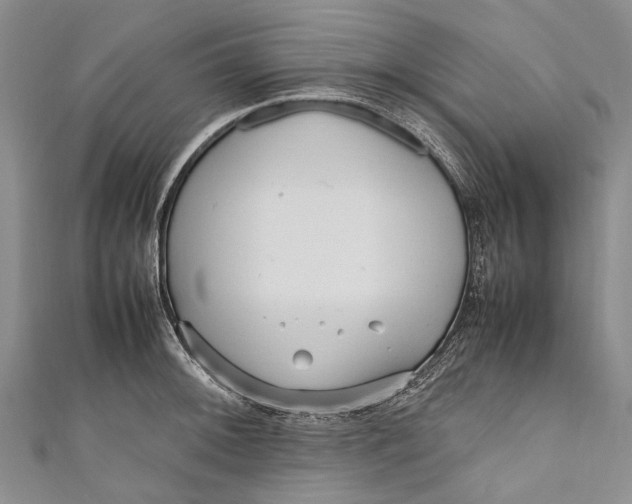 X0000110951092200907101302