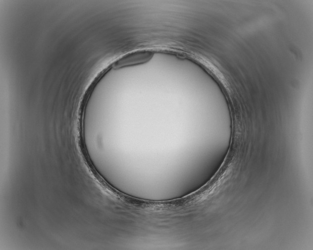 X0000110951093200907101302