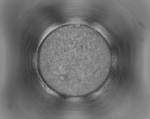 X0000110951094200907101302