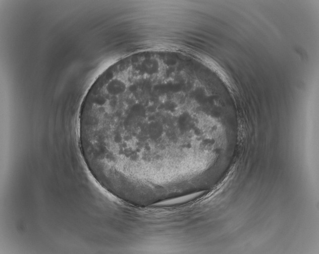 X0000110951095200907101302