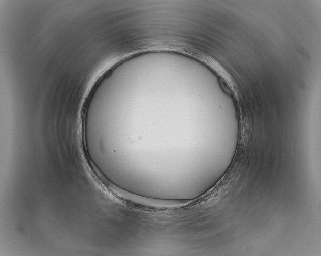 X0000110951096200907101302