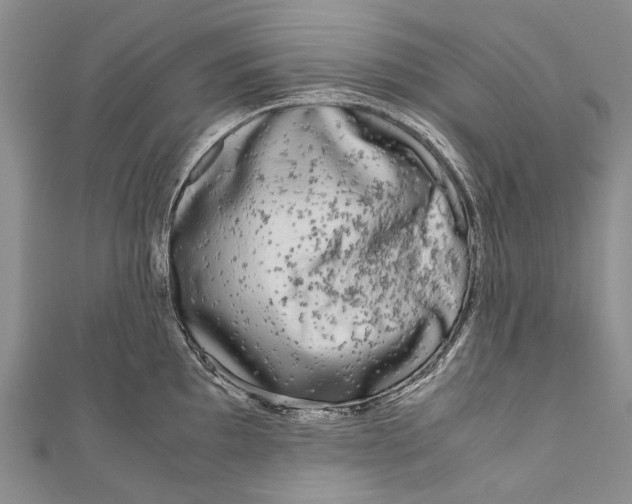 X0000110951097200907101302