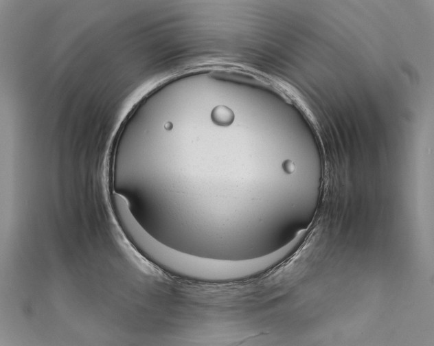 X0000110951098200907101302