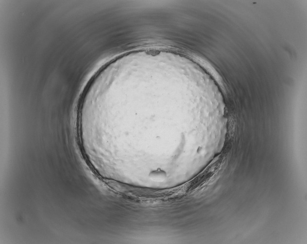 X0000110951099200907101302