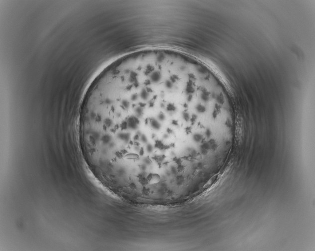 X0000110951100200907101302