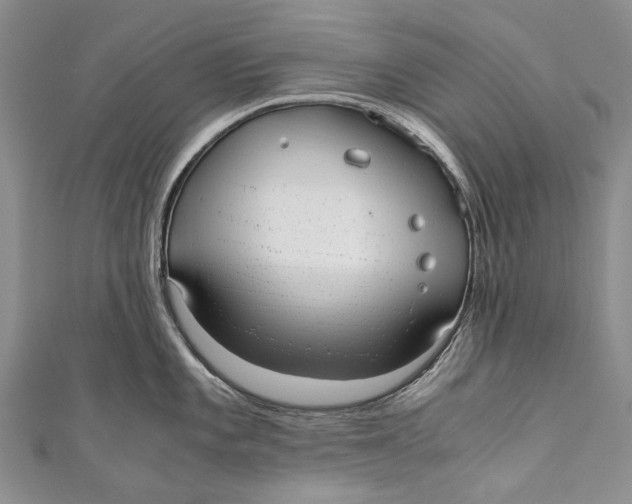 X0000110951101200907101302