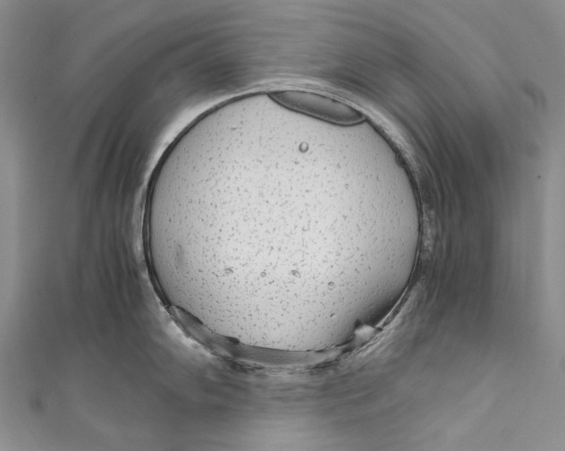 X0000110951102200907101302