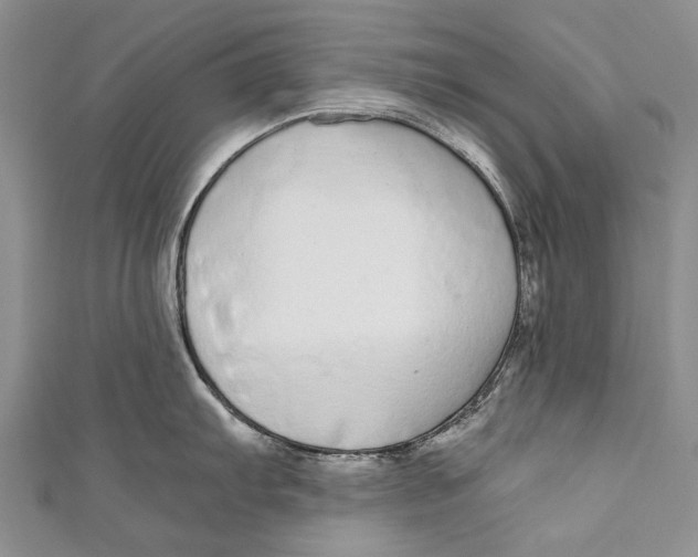 X0000110951103200907101302